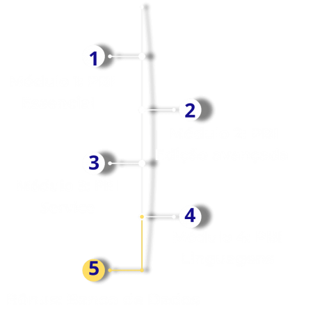 Módulos power bi